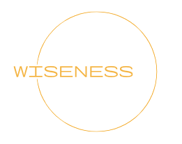 Wiseness Logo